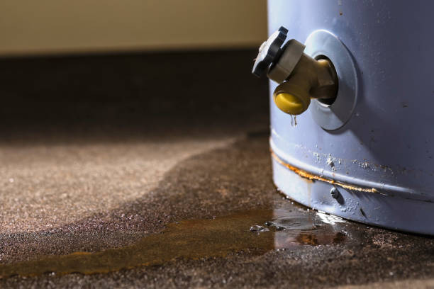 Best Local water damage restoration  in Jamestown, CA