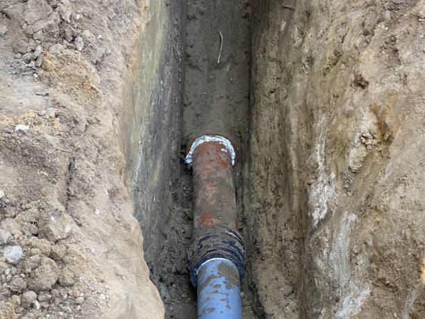 Best Flood damage cleanup  in Jamestown, CA