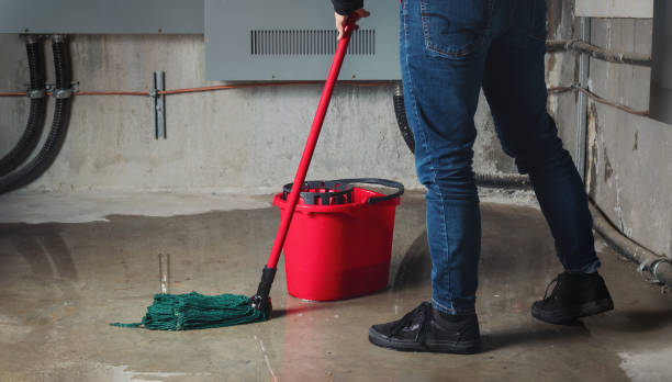 Best Water damage cleanup near me  in Jamestown, CA