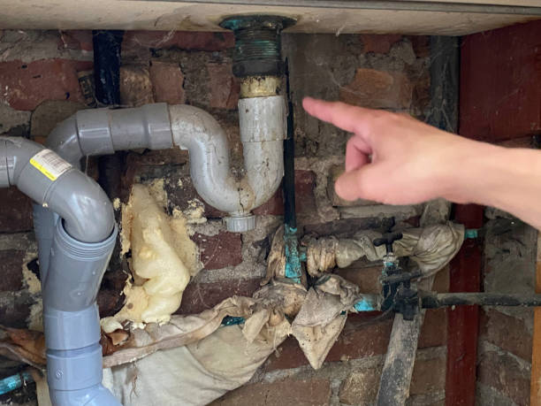 Best 24-hour water damage restoration  in Jamestown, CA